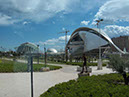 coral_en_valencia_006